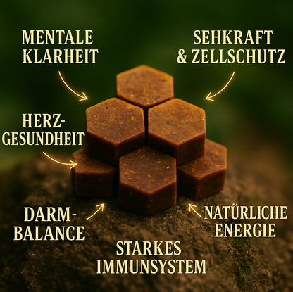 Premium Bienenbrot | Dein natürlicher Beauty- und Vitalitätsbooster